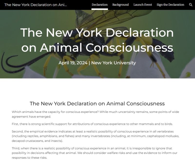 New Yorker Erklärung zum Bewusstsein von Tieren
