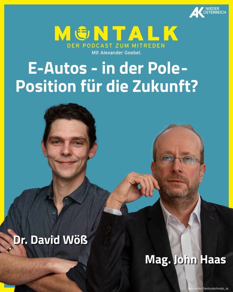 MONTALK über die Polarisierung rund ums E-Auto