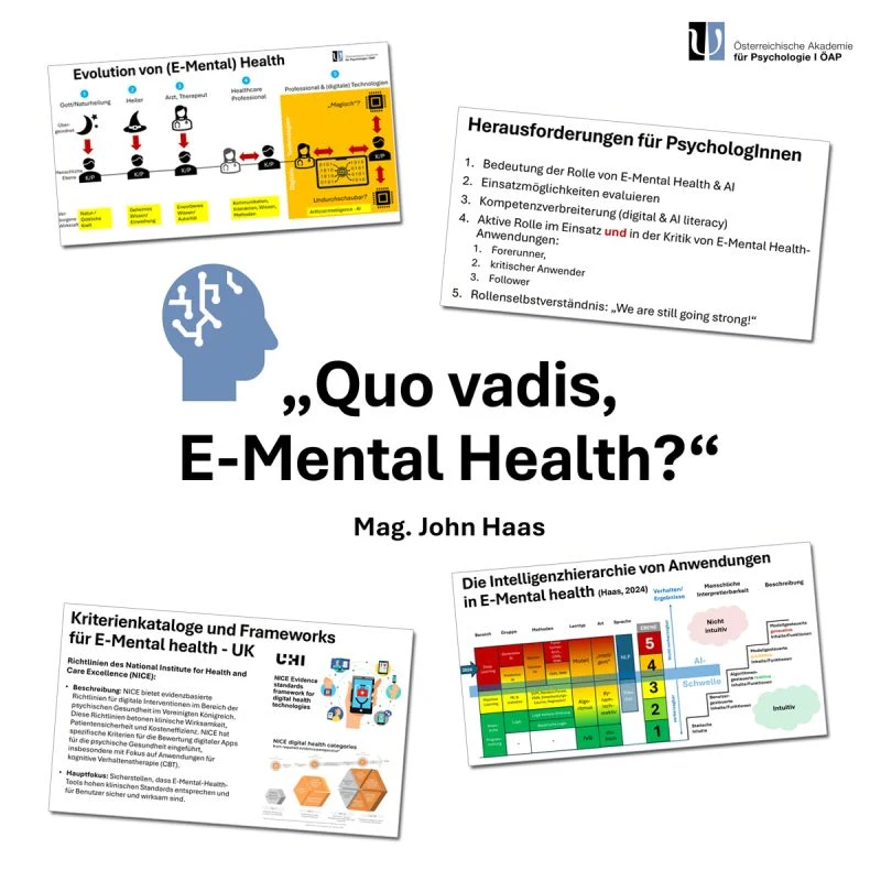 Vortrag über E-Mental Health für Psychologinnen und Psychologen